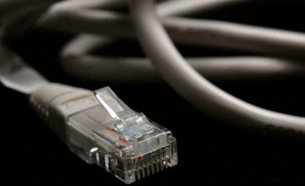 Papiery Qumaka-Sekomu w tym roku cieszą się dużym zainteresowaniem inwestorów