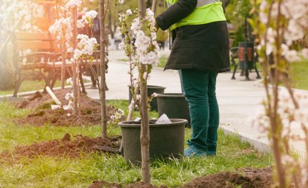 Prawo do odliczenia VAT w związku z rewitalizacją obszarów miejskich