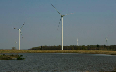 Naukowcy: Turbiny wiatrowe nie psują klimatu