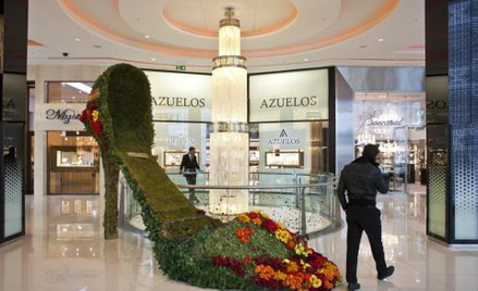 Luksus bardziej kobiecy