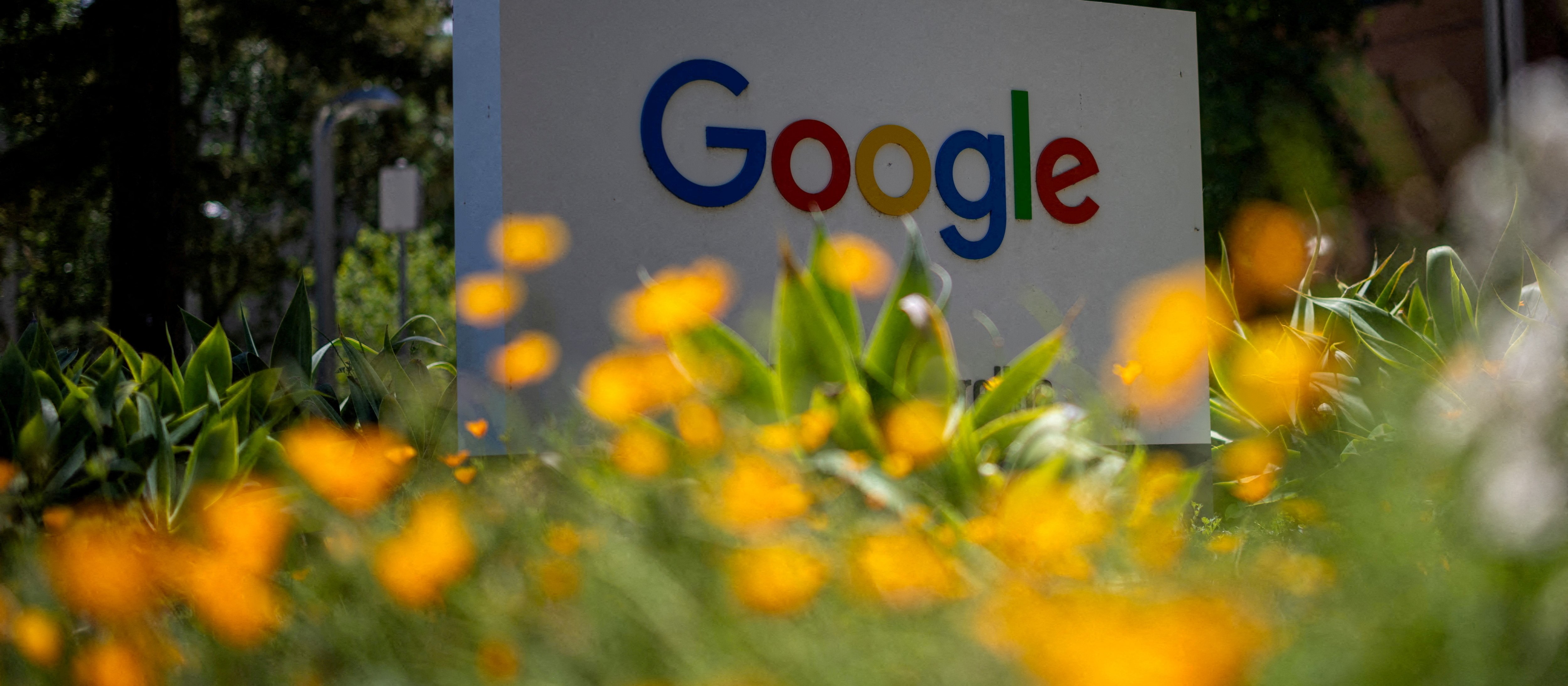 Dobre wyniki Alphabetu i Microsoftu. Meta rozczarowała wydatkami