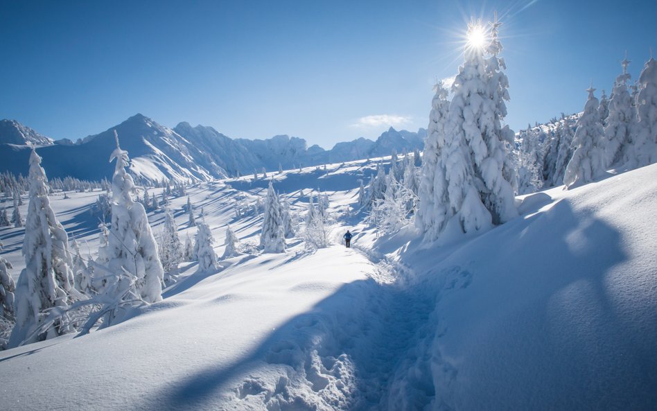 Obszar Tatrzańskiego Parku Narodowego pozostaje zamknięty do odwołania