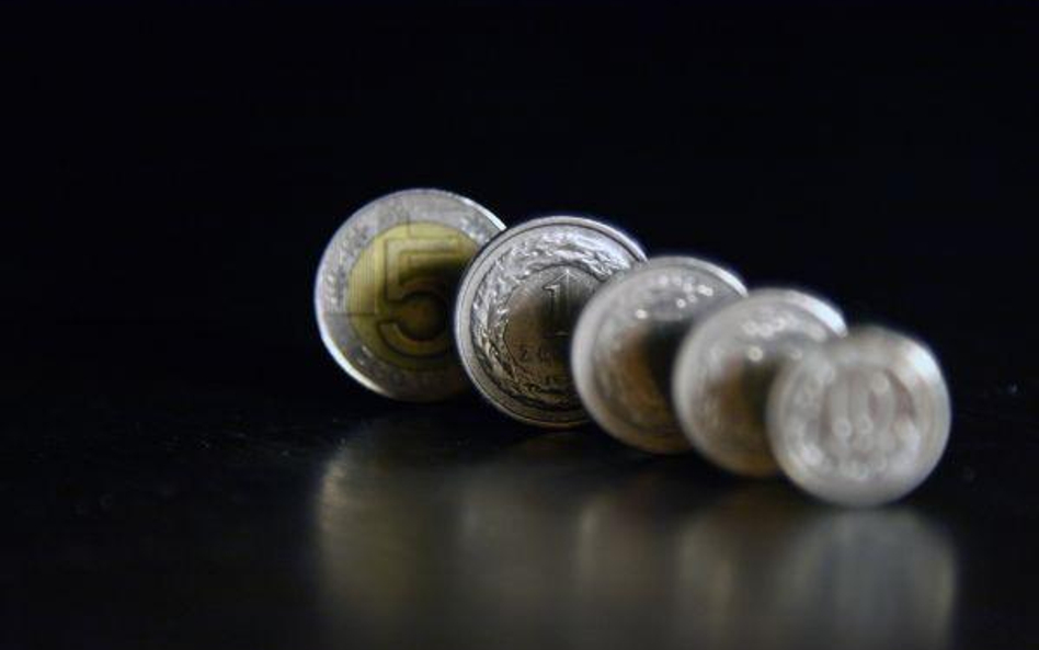 Polskie Jadło: problemy z inwestorem
