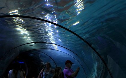 Oceanarium w Rotterdamie