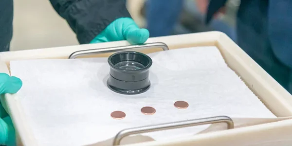 Ostatnie amerykańskie pensy okazały się warte miliony. Zaskakująca aukcja