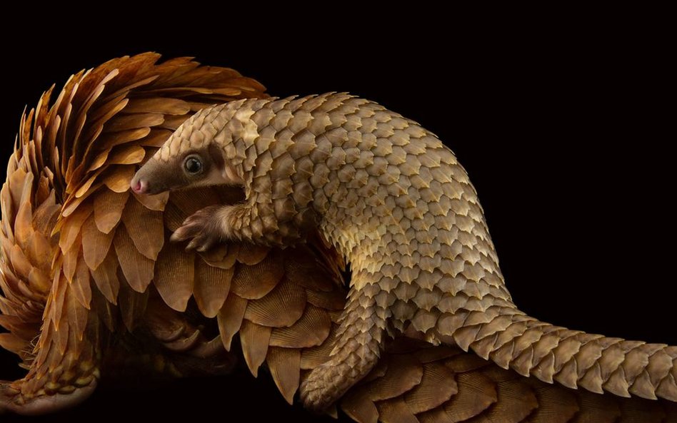 Saint Augustine, Floryda, 2015 r.