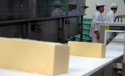 North Coast ruszył z produkcją włoskich serów w mleczarni Latteria Tinis