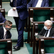 Zaskakujący gest PiS wobec LGBT: Więzienie za homofobię