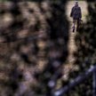 Rosja ostrzega NATO: każdy ruch na Ukrainie będzie miał konsekwencje