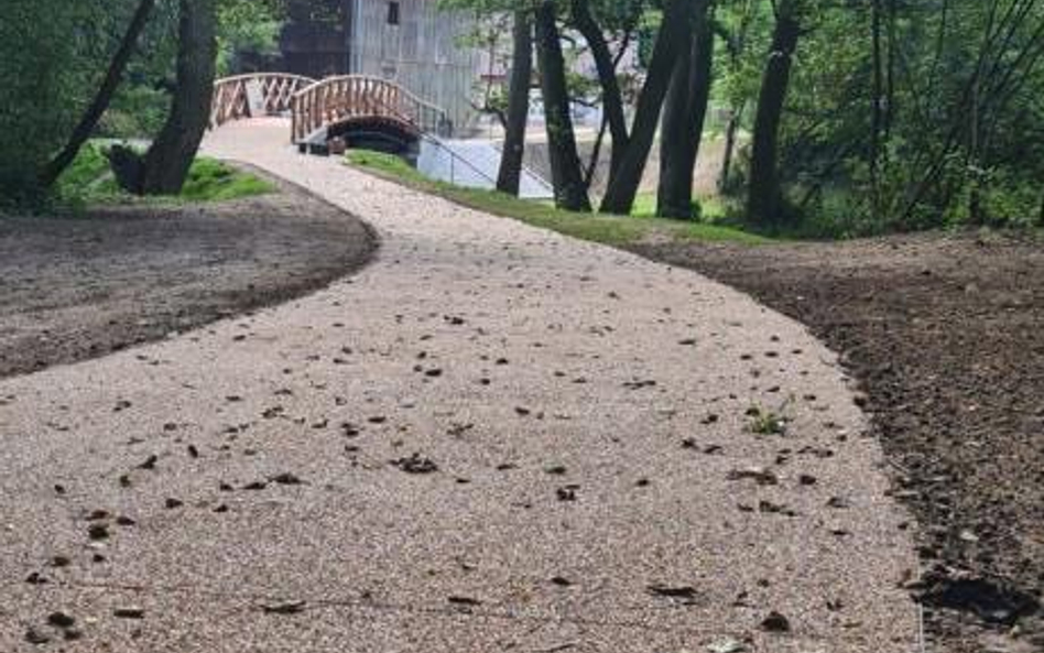 Ponad 60 proc. mieszkańców gminy Jarocin chce rozwoju infrastruktury dla rowerzystów