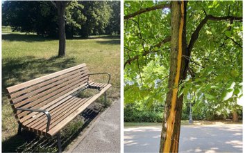 Wandale niszczą zieleń w warszawskich parkach