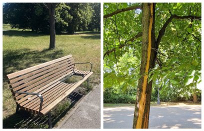 Wandale niszczą zieleń w warszawskich parkach