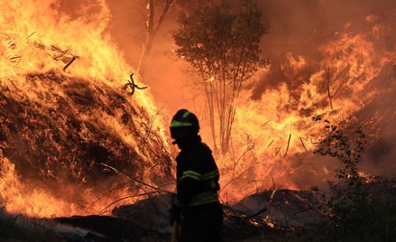 Intensywne pożary emitują ogromne ilości zanieczyszczeń, co prowadzi do wzrostu temperatur i mniejsz