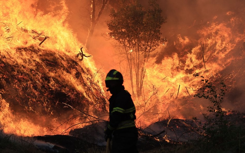 Intensywne pożary emitują ogromne ilości zanieczyszczeń, co prowadzi do wzrostu temperatur i mniejsz