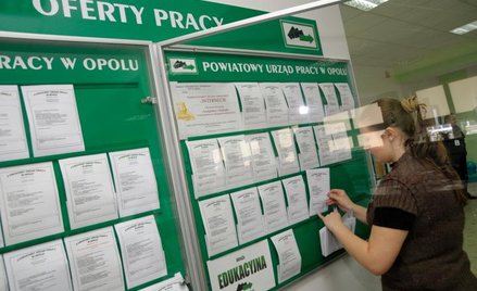 Chcesz publiczne zlecenie – daj pracę