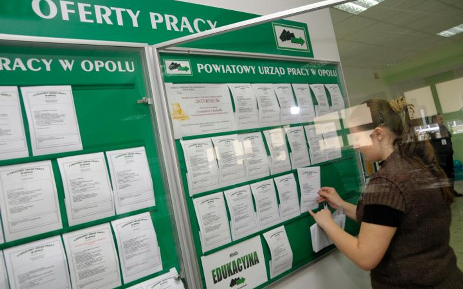 Chcesz publiczne zlecenie – daj pracę
