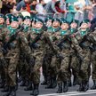 W armii służy teraz ok. 108 tys. żołnierzy zawodowych i 20 tys. ochotników
