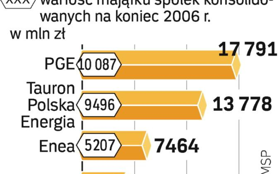 W 2007 r. wzrosły kapitały własne i wartość akcji spółek SP notowanych na GPW. Najbardziej firm ener