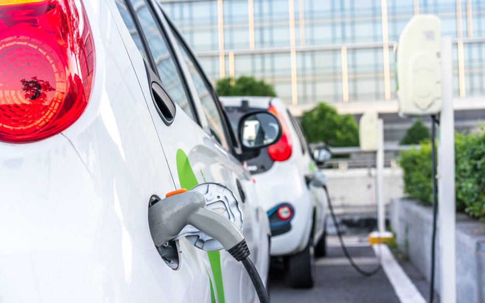 Elektromobilność w rządzie idzie jak po grudzie