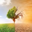 Niemcy opracowały raport przedstawiający zagrożenia dla Europy związane ze zmianami klimatycznymi.