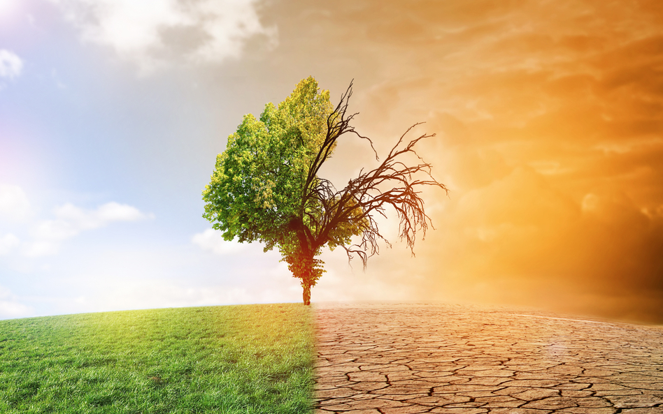 Niemcy opracowały raport przedstawiający zagrożenia dla Europy związane ze zmianami klimatycznymi.