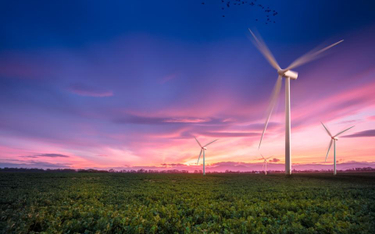 Dentons doradza Enlight Renewable Energy przy budowie i finansowaniu farmy wiatrowej w Kosowie