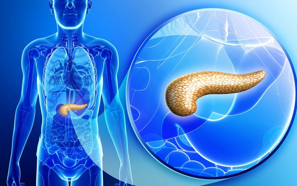 W trzustce istnieją trzy rodzaje komórek, alfa, beta i delta. Osoby z cukrzycą mają uszkodzoną funkc