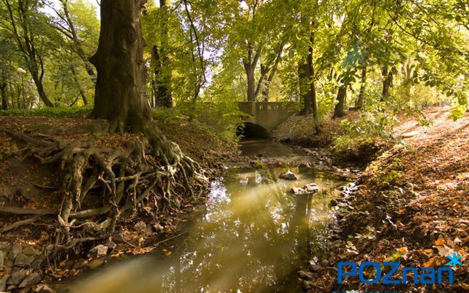 Park Sołacki to jeden z parków publicznych w Poznaniu, w willowej dzielnicy Sołacz. W zachodniej czę