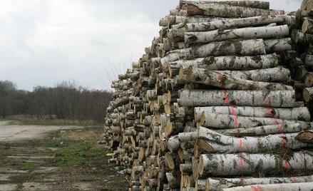 Drewno opałowe dla rodziny