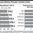 Do 4,5 zł za euro dług niegroźny