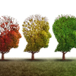 NIK: chorzy na Alzheimera i ich rodziny bez pomocy i opieki