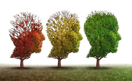 NIK: chorzy na Alzheimera i ich rodziny bez pomocy i opieki