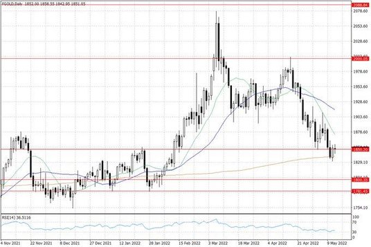 Notowania złota – dane dzienne