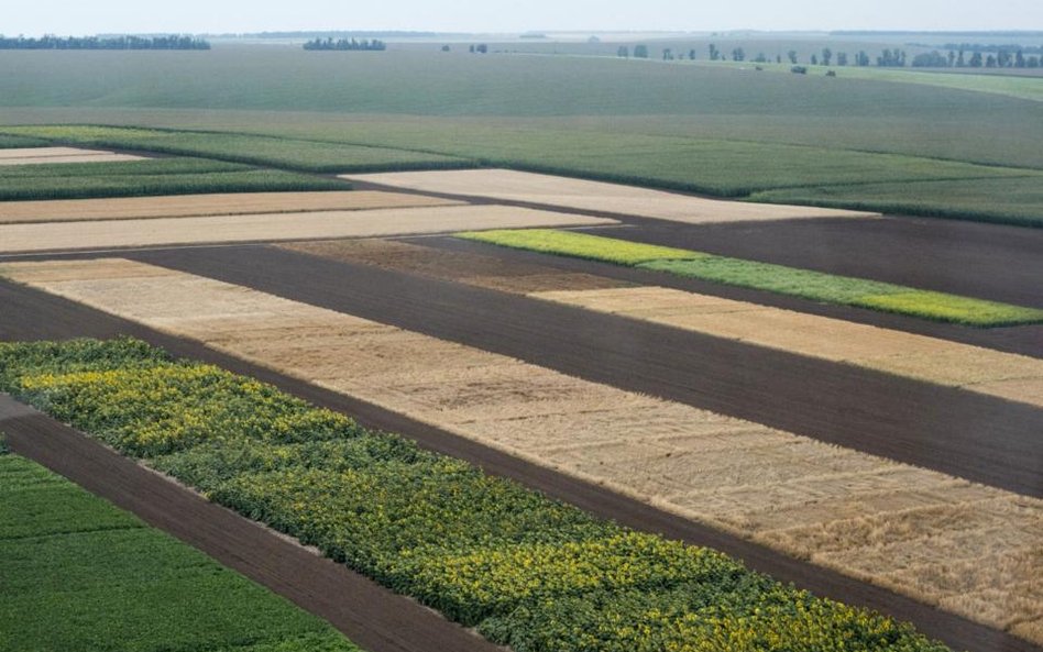 Gigantyczne rozkradanie ziemi ornej na Ukrainie