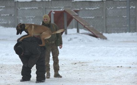 Fot. plut. Cieliński