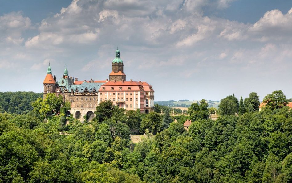 Obecnie w trzech oficynach zamkowych mieści się hotel posiadający 80 miejsc noclegowych.