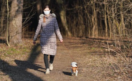 Koronawirus: czy mandaty za spacer po lesie są legalne