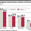 Kryzys nie opuszcza rynku wódki w Polsce