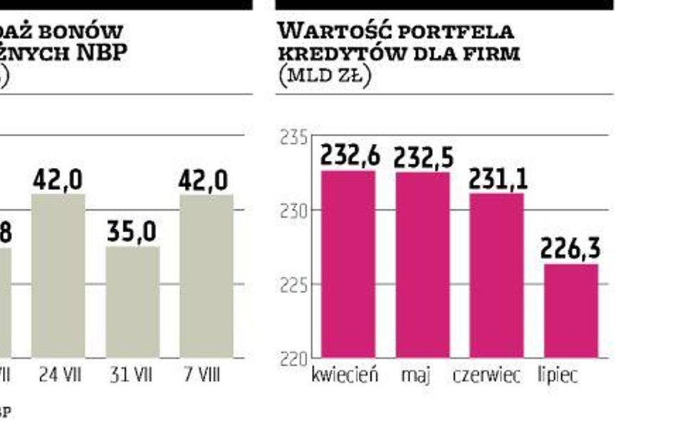 Tempo akcji kredytowej tylko w rękach banków