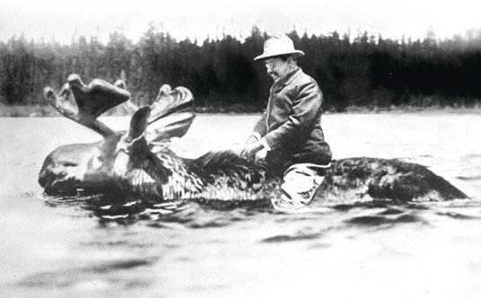 W&#xa0;1912 r. Theodore Roosevelt, popierany przez za&#x142;o&#x17c;on&#x105; przez siebie Parti&#x1