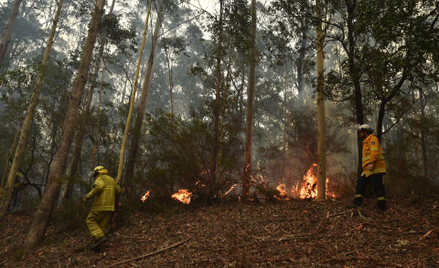 Pożary w Australii: chcą pozwać rząd, bo zawiódł naród