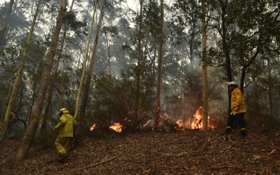 Pożary w Australii: chcą pozwać rząd, bo zawiódł naród