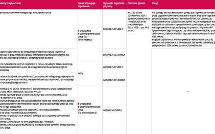 Tabela 7. Wykroczenia przy zatrudnianiu cudzoziemców