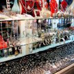 Miejski lokal do wynajęcia kupcom tylko po przeprowadzeniu przetargu