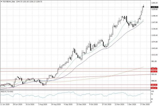 Notowania soi w USA – dane dzienne