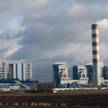 PGE z dobrymi wynikami kwartalnymi, ale bez dywidendy