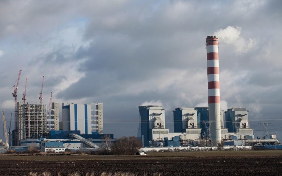 PGE z dobrymi wynikami kwartalnymi, ale bez dywidendy