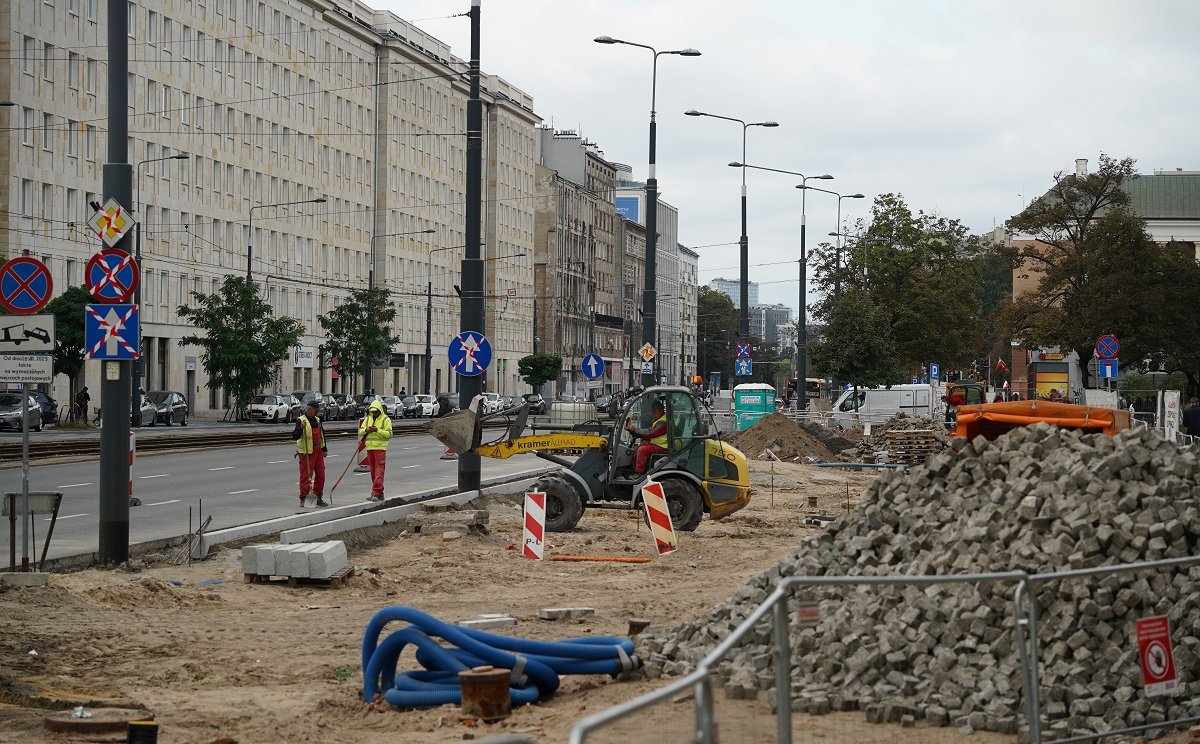 Inwestycje z wycinką drzew. „Zawsze pojawia się realna rekompensata”