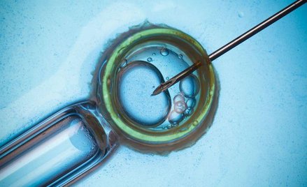 In vitro tylko dla par