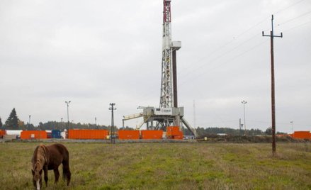 Rząd wzmacnia monopol PGNiG